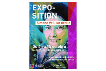 Simone Veil Un Destin