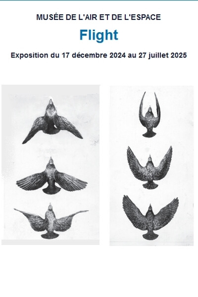 Décomposition du vol des oiseaux