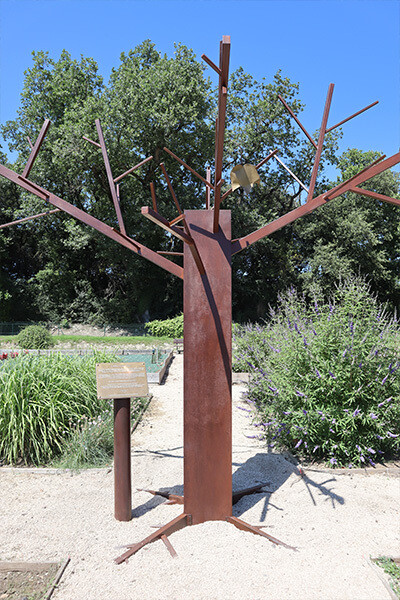 L'arbre à planches