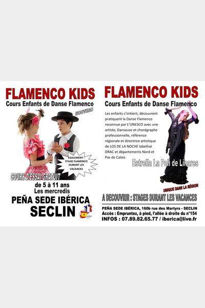 FlamencoKids 